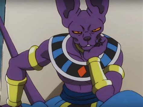 beerus age|who is the succeed beerus.